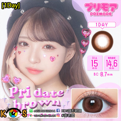 [1Day]Primore Pri Date Brown プリモア プリデートブラウン